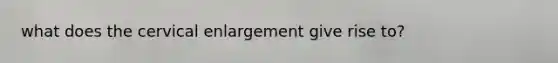 what does the cervical enlargement give rise to?