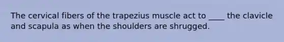 The cervical fibers of the trapezius muscle act to ____ the clavicle and scapula as when the shoulders are shrugged.