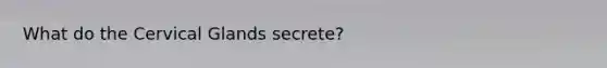 What do the Cervical Glands secrete?