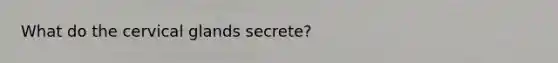 What do the cervical glands secrete?