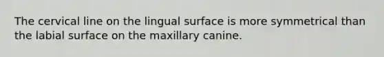 The cervical line on the lingual surface is more symmetrical than the labial surface on the maxillary canine.