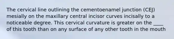 The cervical line outlining the cementoenamel junction (CEJ) mesially on the maxillary central incisor curves incisally to a noticeable degree. This cervical curvature is greater on the ____ of this tooth than on any surface of any other tooth in the mouth