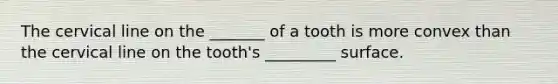 The cervical line on the _______ of a tooth is more convex than the cervical line on the tooth's _________ surface.