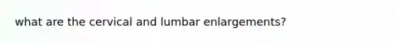 what are the cervical and lumbar enlargements?