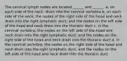 The cervical lymph nodes are located ______ and ______. a. on each side of the neck; drain into the cervical vertebra b. on each side of the neck; the nodes of the right side of the head and neck drain into the right lymphatic duct, and the nodes on the left side of the head and neck drain into the thoracic duct c. in the cervical vertebra; the nodes on the left side of the head and neck drain into the right lymphatic duct, and the nodes on the right side of the head and neck drain into the thoracic duct d. in the cervical vertebra; the nodes on the right side of the head and neck drain into the right lymphatic duct, and the nodes on the left side of the head and neck drain into the thoracic duct