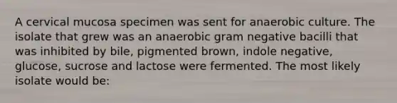 A cervical mucosa specimen was sent for anaerobic culture. The isolate that grew was an anaerobic gram negative bacilli that was inhibited by bile, pigmented brown, indole negative, glucose, sucrose and lactose were fermented. The most likely isolate would be: