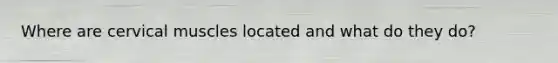 Where are cervical muscles located and what do they do?