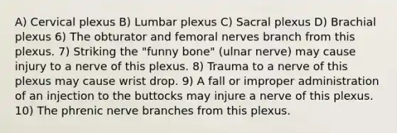 A) Cervical plexus B) Lumbar plexus C) Sacral plexus D) Brachial plexus 6) The obturator and femoral nerves branch from this plexus. 7) Striking the "funny bone" (ulnar nerve) may cause injury to a nerve of this plexus. 8) Trauma to a nerve of this plexus may cause wrist drop. 9) A fall or improper administration of an injection to the buttocks may injure a nerve of this plexus. 10) The phrenic nerve branches from this plexus.