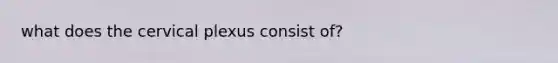 what does the cervical plexus consist of?