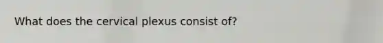What does the cervical plexus consist of?