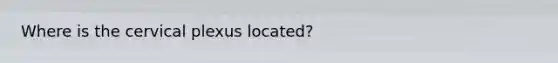 Where is the cervical plexus located?