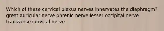 Which of these cervical plexus nerves innervates the diaphragm? great auricular nerve phrenic nerve lesser occipital nerve transverse cervical nerve