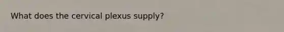 What does the cervical plexus supply?