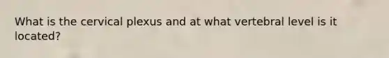 What is the cervical plexus and at what vertebral level is it located?