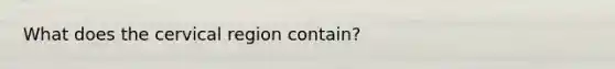 What does the cervical region contain?