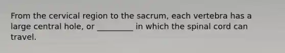 From the cervical region to the sacrum, each vertebra has a large central hole, or _________ in which the spinal cord can travel.