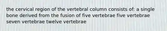 the cervical region of the vertebral column consists of: a single bone derived from the fusion of five vertebrae five vertebrae seven vertebrae twelve vertebrae