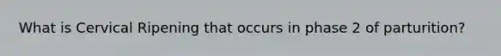 What is Cervical Ripening that occurs in phase 2 of parturition?