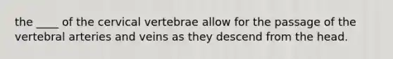 the ____ of the cervical vertebrae allow for the passage of the vertebral arteries and veins as they descend from the head.