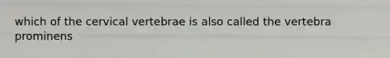 which of the cervical vertebrae is also called the vertebra prominens