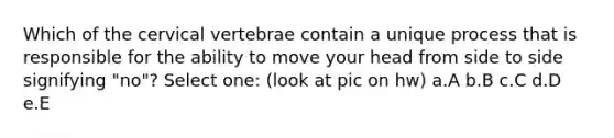 Which of the cervical vertebrae contain a unique process that is responsible for the ability to move your head from side to side signifying "no"? Select one: (look at pic on hw) a.A b.B c.C d.D e.E