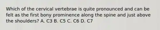 Which of the cervical vertebrae is quite pronounced and can be felt as the first bony prominence along the spine and just above the shoulders? A. C3 B. C5 C. C6 D. C7