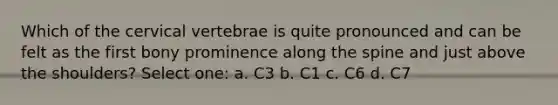 Which of the cervical vertebrae is quite pronounced and can be felt as the first bony prominence along the spine and just above the shoulders? Select one: a. C3 b. C1 c. C6 d. C7