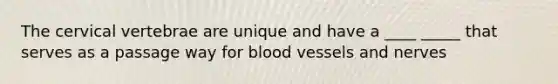 The cervical vertebrae are unique and have a ____ _____ that serves as a passage way for blood vessels and nerves