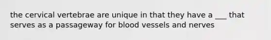 the cervical vertebrae are unique in that they have a ___ that serves as a passageway for blood vessels and nerves