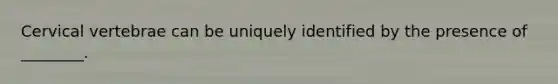 Cervical vertebrae can be uniquely identified by the presence of ________.