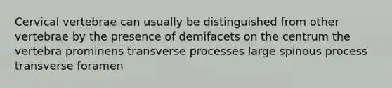 Cervical vertebrae can usually be distinguished from other vertebrae by the presence of demifacets on the centrum the vertebra prominens transverse processes large spinous process transverse foramen