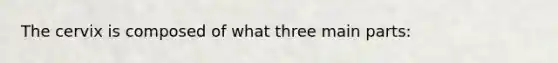 The cervix is composed of what three main parts: