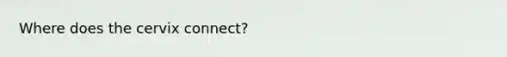Where does the cervix connect?