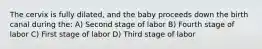 The cervix is fully dilated, and the baby proceeds down the birth canal during the: A) Second stage of labor B) Fourth stage of labor C) First stage of labor D) Third stage of labor