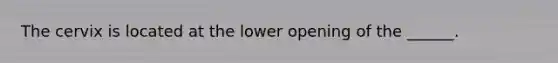 The cervix is located at the lower opening of the ______.