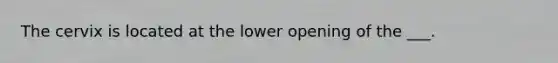 The cervix is located at the lower opening of the ___.