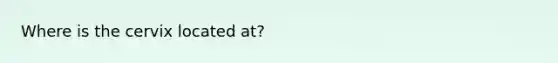 Where is the cervix located at?