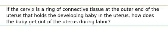 If the cervix is a ring of <a href='https://www.questionai.com/knowledge/kYDr0DHyc8-connective-tissue' class='anchor-knowledge'>connective tissue</a> at the outer end of the uterus that holds the developing baby in the uterus, how does the baby get out of the uterus during labor?