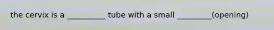 the cervix is a __________ tube with a small _________(opening)