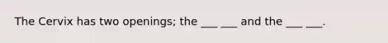 The Cervix has two openings; the ___ ___ and the ___ ___.