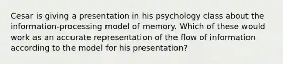 Cesar is giving a presentation in his psychology class about the information-processing model of memory. Which of these would work as an accurate representation of the flow of information according to the model for his presentation?