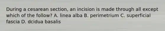 During a cesarean section, an incision is made through all except which of the follow? A. linea alba B. perimetrium C. superficial fascia D. dcidua basalis