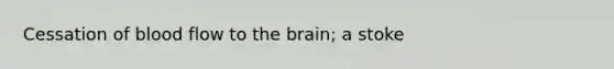 Cessation of blood flow to the brain; a stoke