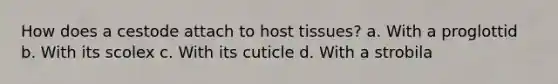 How does a cestode attach to host tissues? a. With a proglottid b. With its scolex c. With its cuticle d. With a strobila