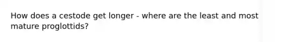 How does a cestode get longer - where are the least and most mature proglottids?