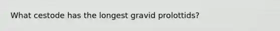 What cestode has the longest gravid prolottids?