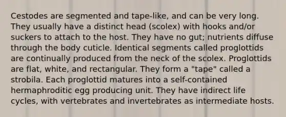 Cestodes are segmented and tape-like, and can be very long. They usually have a distinct head (scolex) with hooks and/or suckers to attach to the host. They have no gut; nutrients diffuse through the body cuticle. Identical segments called proglottids are continually produced from the neck of the scolex. Proglottids are flat, white, and rectangular. They form a "tape" called a strobila. Each proglottid matures into a self-contained hermaphroditic egg producing unit. They have indirect life cycles, with vertebrates and invertebrates as intermediate hosts.