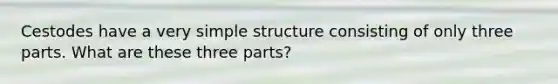 Cestodes have a very simple structure consisting of only three parts. What are these three parts?