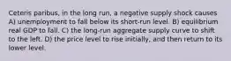 Ceteris paribus, in the long run, a negative supply shock causes A) unemployment to fall below its short-run level. B) equilibrium real GDP to fall. C) the long-run aggregate supply curve to shift to the left. D) the price level to rise initially, and then return to its lower level.