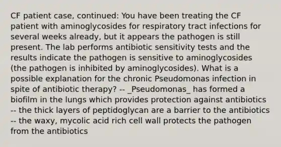 CF patient case, continued: You have been treating the CF patient with aminoglycosides for respiratory tract infections for several weeks already, but it appears the pathogen is still present. The lab performs antibiotic sensitivity tests and the results indicate the pathogen is sensitive to aminoglycosides (the pathogen is inhibited by aminoglycosides). What is a possible explanation for the chronic Pseudomonas infection in spite of antibiotic therapy? -- _Pseudomonas_ has formed a biofilm in the lungs which provides protection against antibiotics -- the thick layers of peptidoglycan are a barrier to the antibiotics -- the waxy, mycolic acid rich cell wall protects the pathogen from the antibiotics